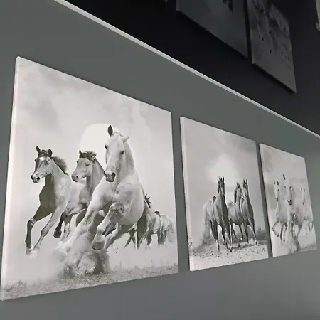 Zakatek Free Parking, Ochrona Apartmán